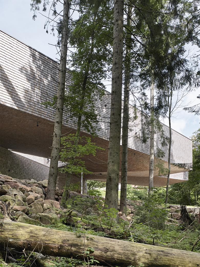 Nationalpark Schwarzwald 访客中心丨德国-31