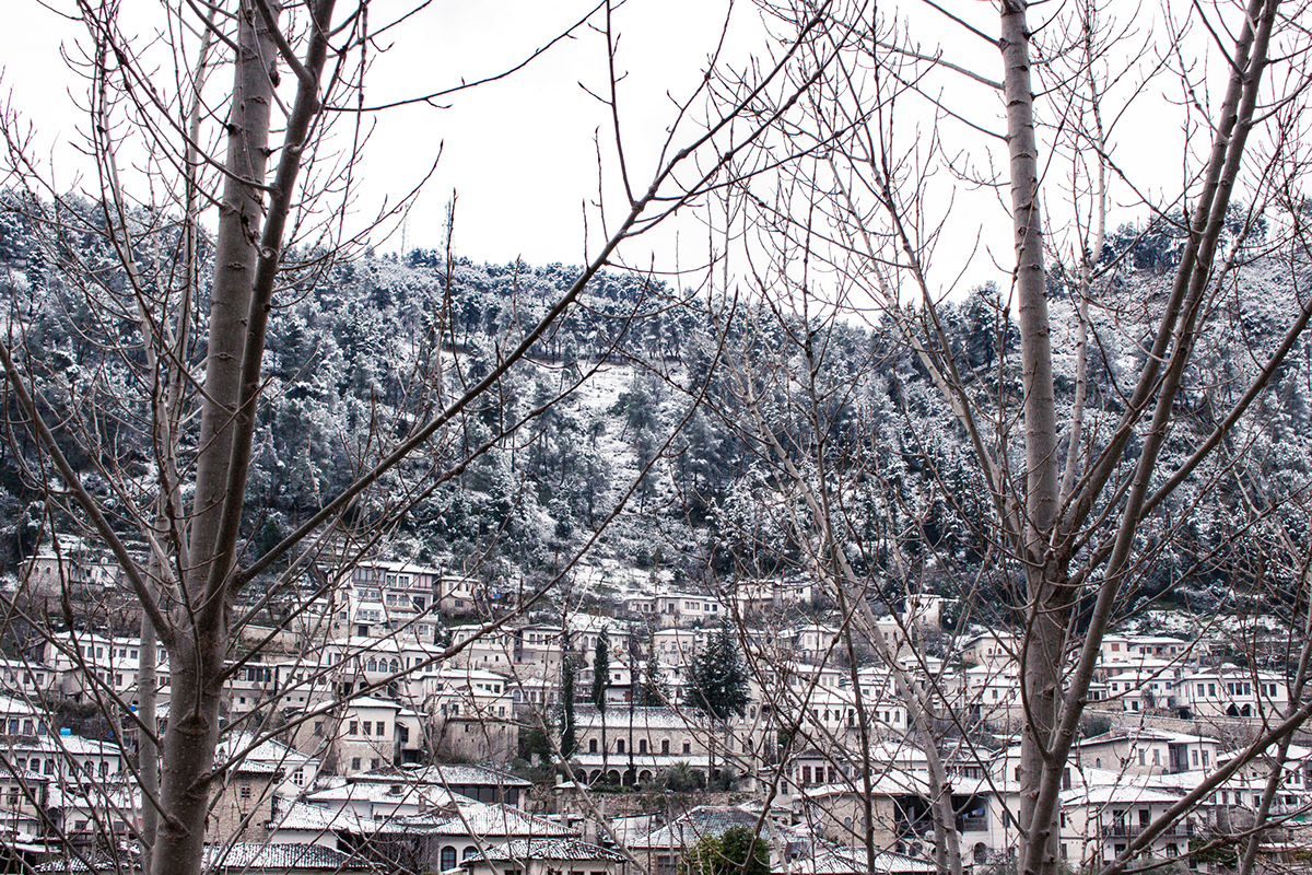 Anastasiya Gushchina丨乡村建筑丨Snow day-9