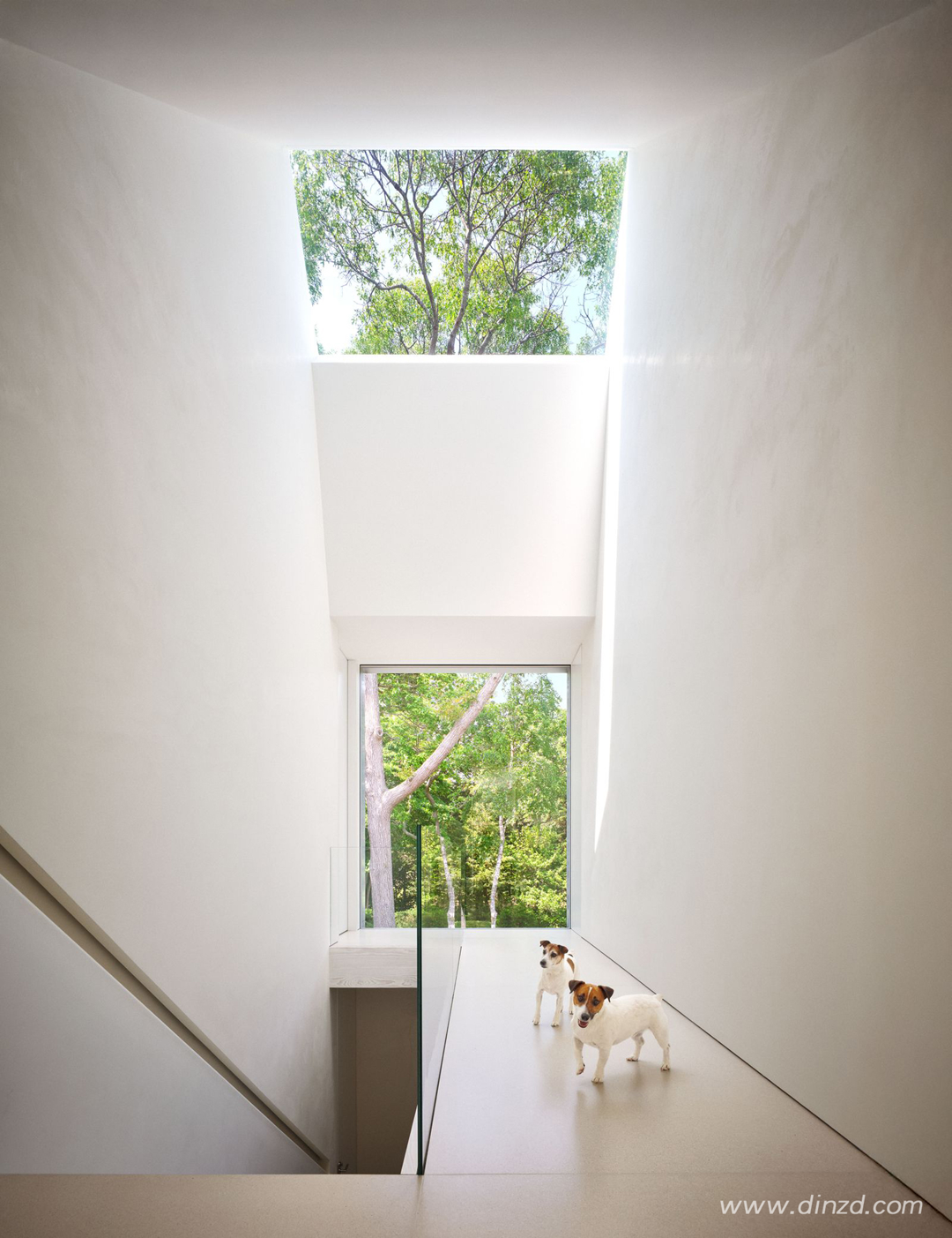 1100 Architect × Kelly Klein · 隐于林海之间的极简主义-16