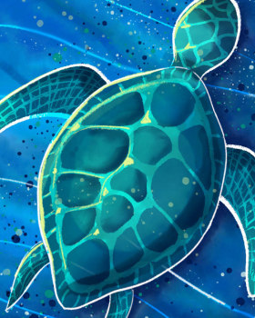General illustrations