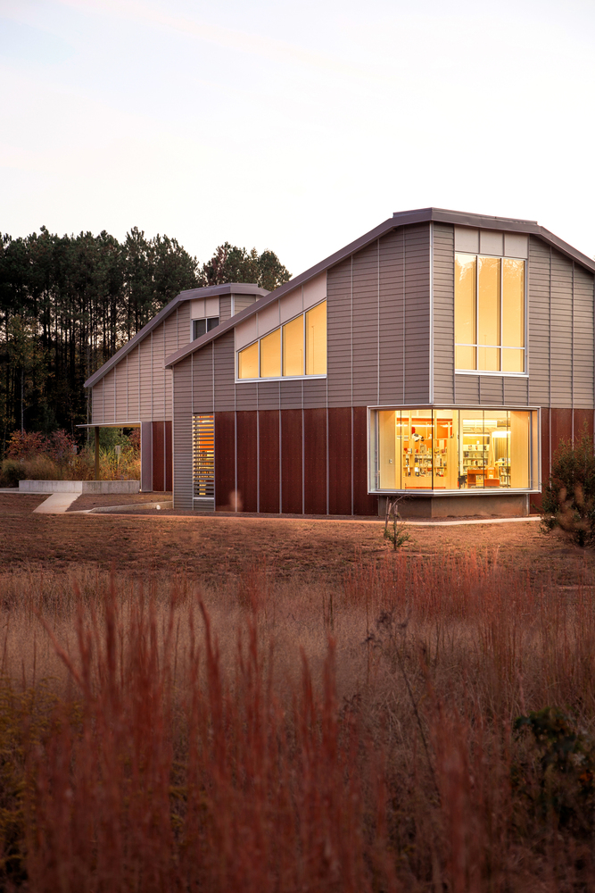 Palmetto图书馆-37