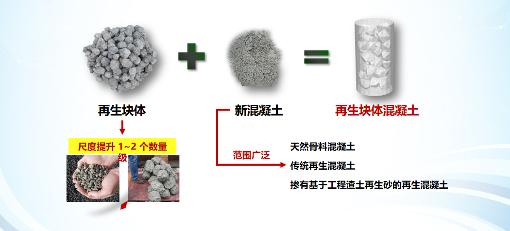 【建证·筑梦】建证“木棉花开”-10