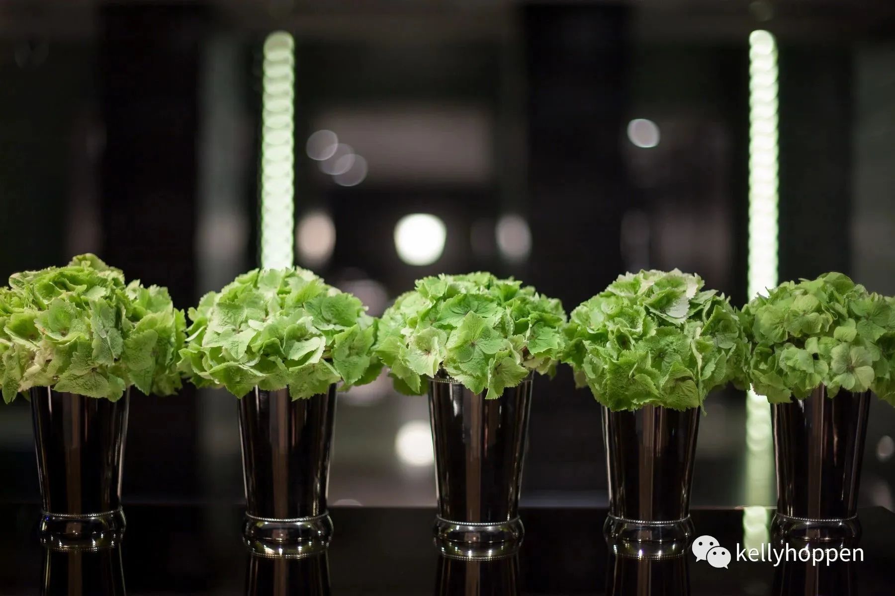 凯丽·赫本室内设计案例丨凯丽·赫本（Kelly Hoppen）-10