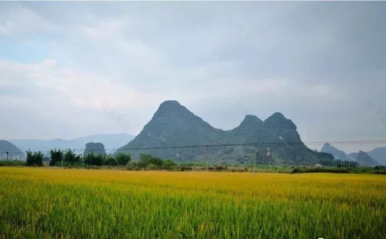 800年古村落美得不像话,他们都说想去度假-123