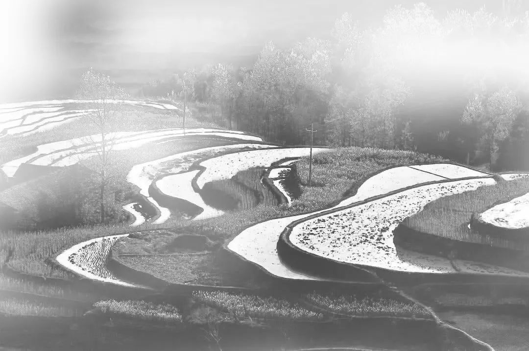 云幔书屋 · 透明与自然的完美交融丨中国安康丨UUA建筑师事务所-4