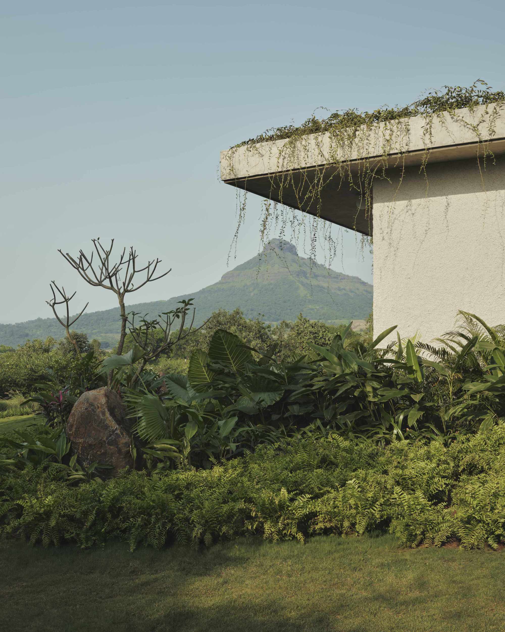 湖景别墅；湖畔住宅（注：Lake House常见释义为这两种，具体需结合语境确定，这里按常见理解给出） 丨印度丨Mazumdar Bravo-31