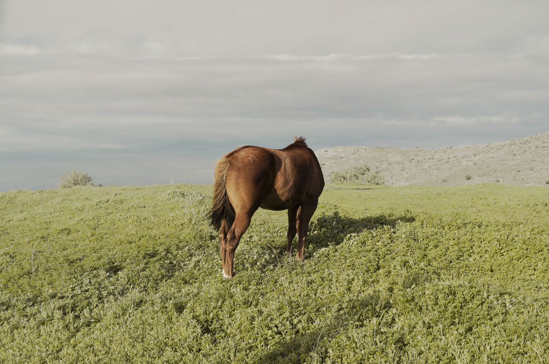 摄影作品：城市近郊的风景，希腊 / Petros Koublis-6