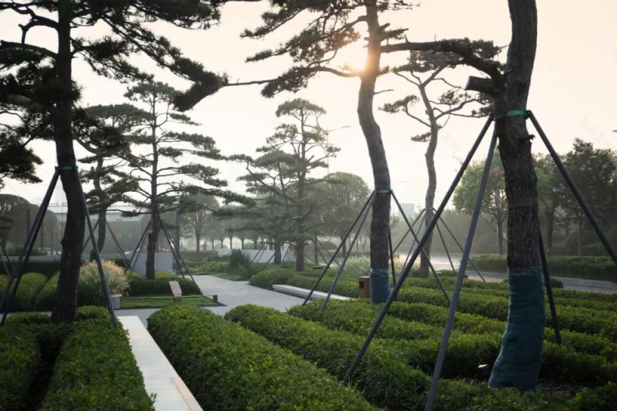 和熙碧影迎明月 | 绿城·沁香园-39