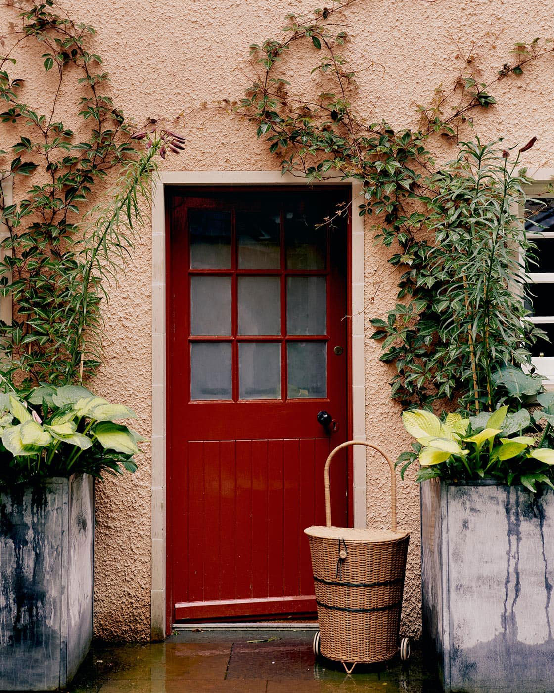 19 世纪苏格兰庄园的粉色花卉设计-2
