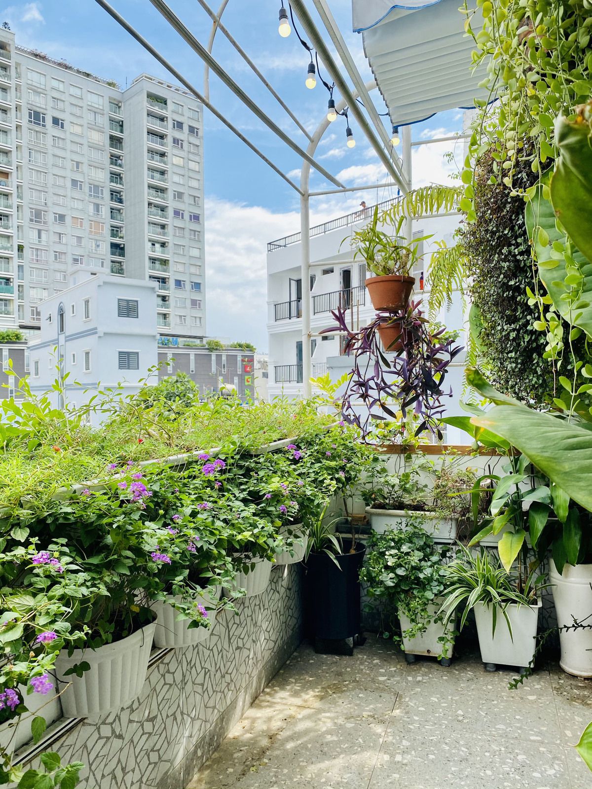 小户型公寓的阳光通风设计-10