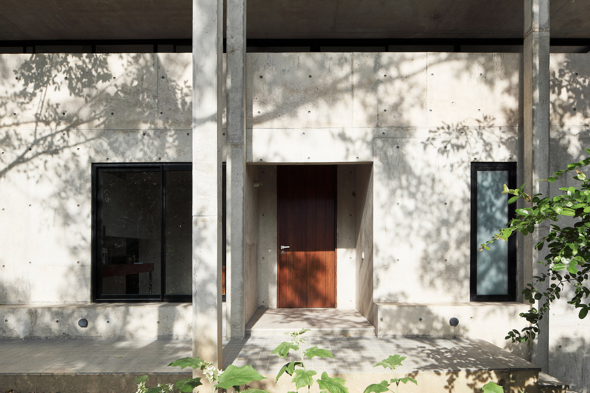 大树小植物屋丨Read Studio-34