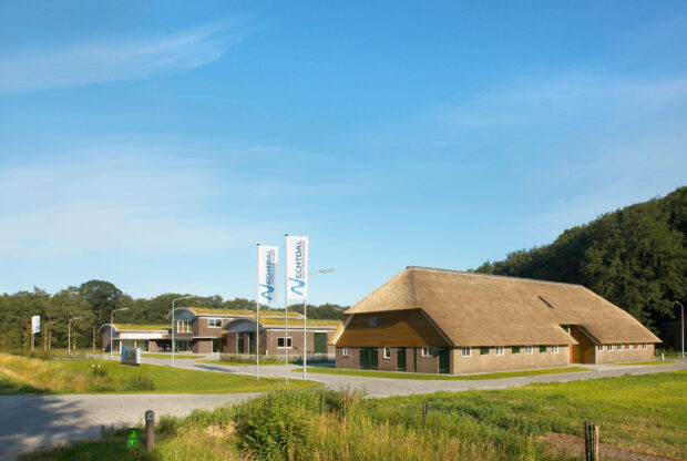 Hardenberg动物诊所项目-4