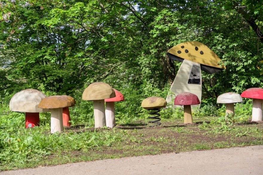 埃尔福特艾格公园知识森林丨德国丨德国雷瓦德景观建筑事务所-72