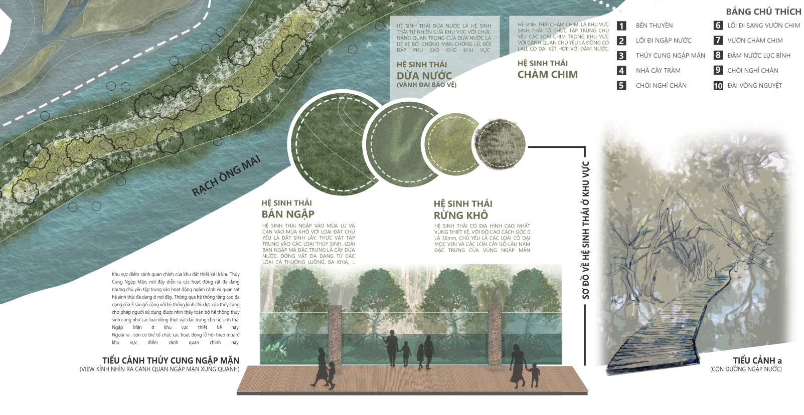湿地公园丨越南-11