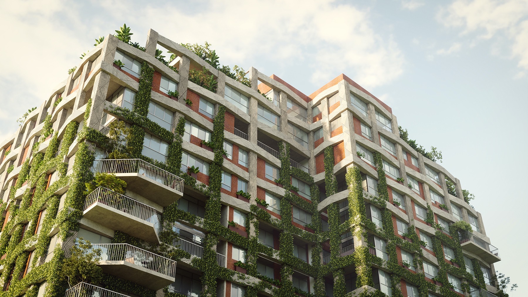 丨埃塞俄比亚亚的斯亚贝巴-34