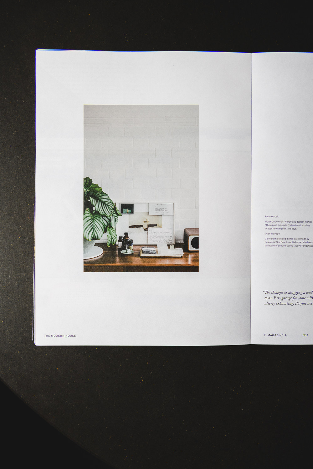 The Modern House Magazine 第一期-6