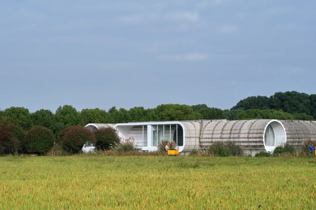 以靠建筑在浙江实现3D打印的田·美术馆-26