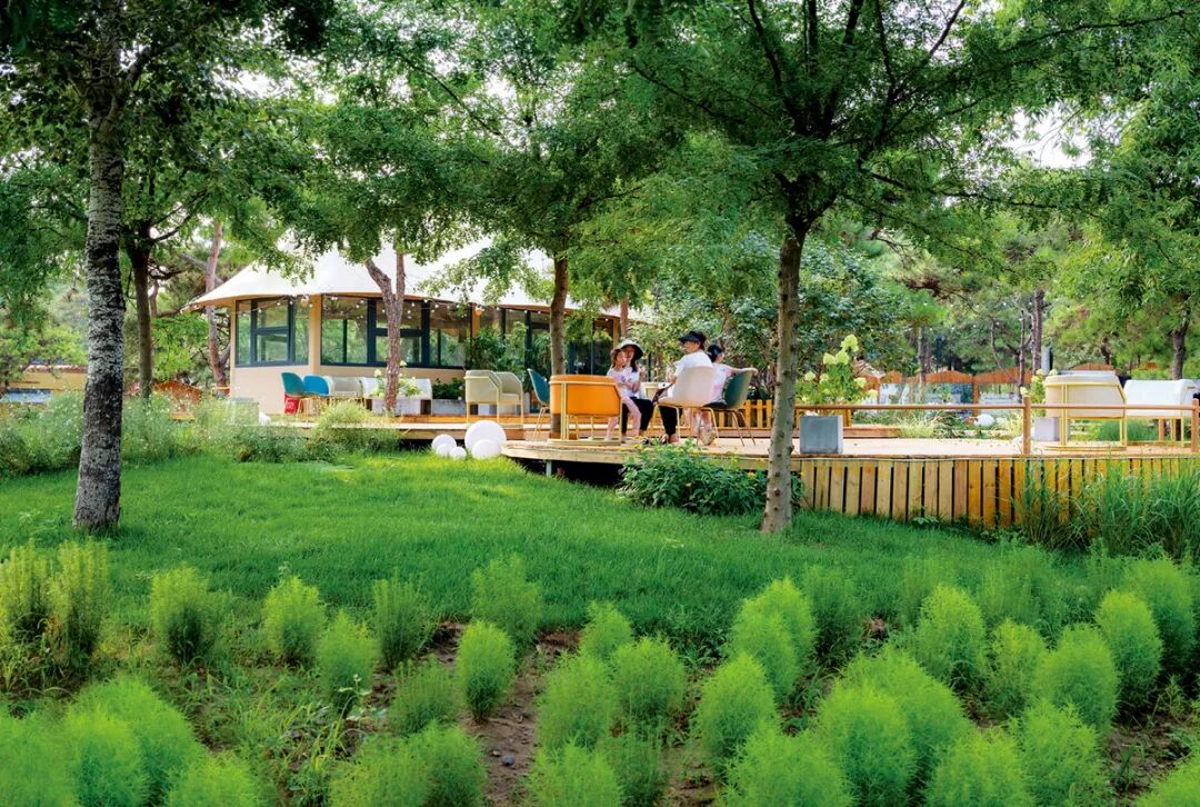 阿奇瑞亲自然乐园丨中国北京丨阿普贝思（北京）景观建筑设计咨询有限公司-46