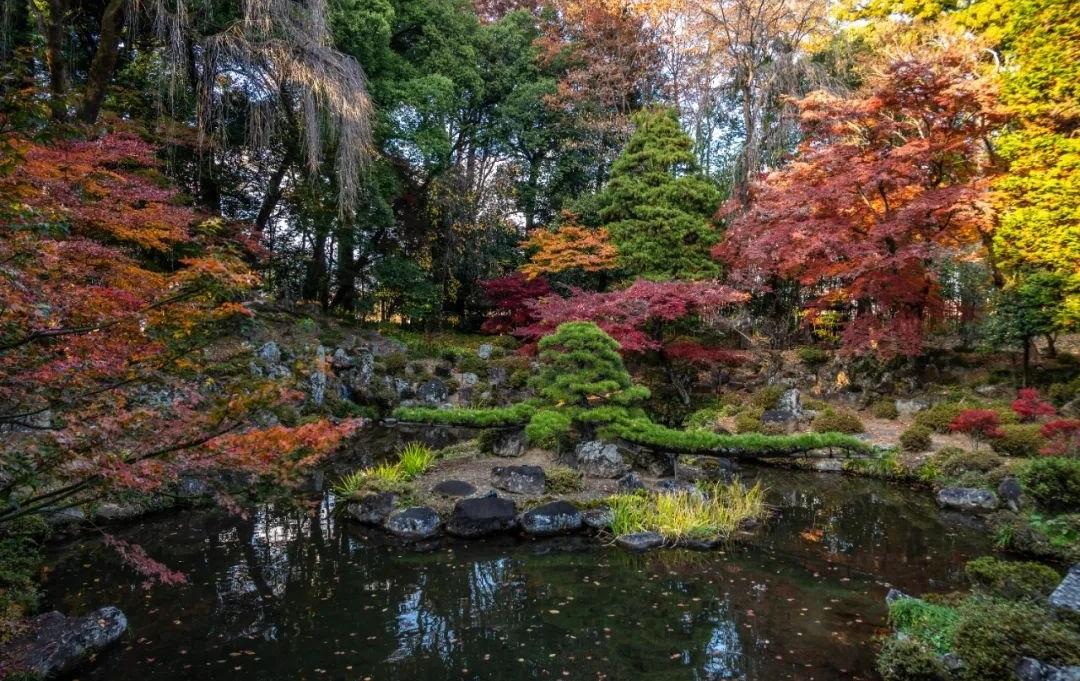 梦窗疏石·禅庭闲寂丨日本-58