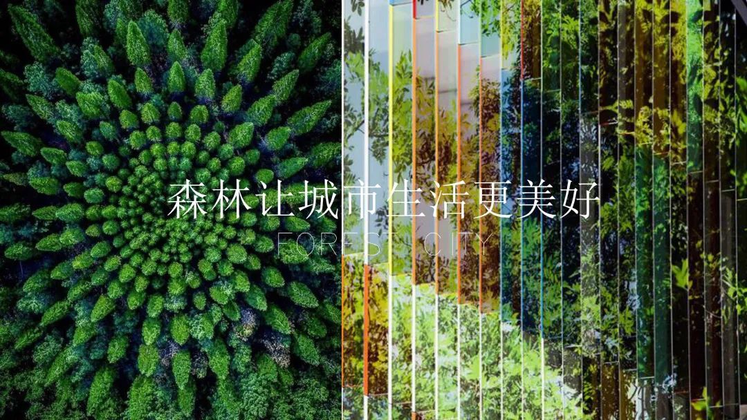 大连花溪镇 | 现代风格园林景观设计,打造全龄户外运动 Hub-6