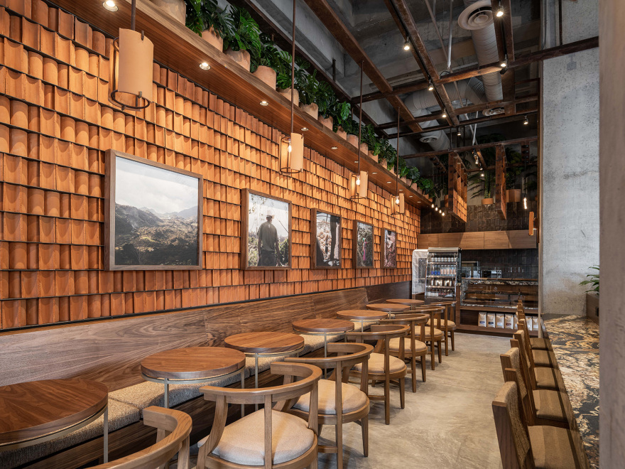 墨西哥 Kali 咖啡馆丨Concéntrico-25