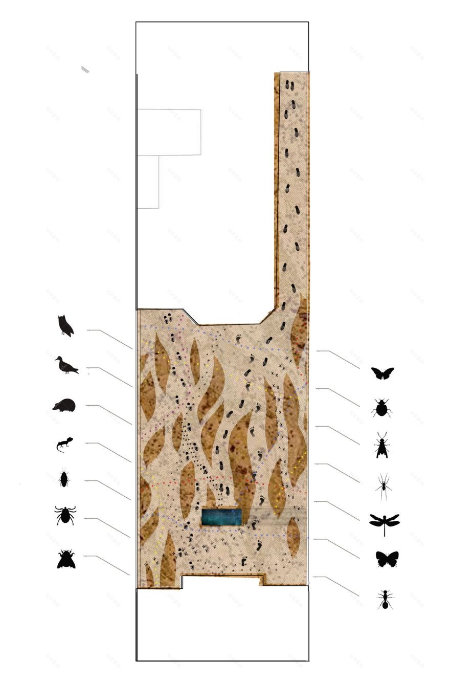 卡·拉加塔住宅丨西班牙巴塞罗那丨El Fil Verd,Estudi d'Arquitectura-44