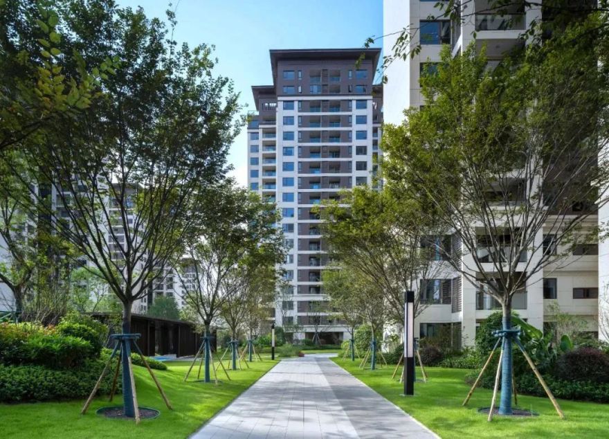 园路列植设计丨上景总工办-42