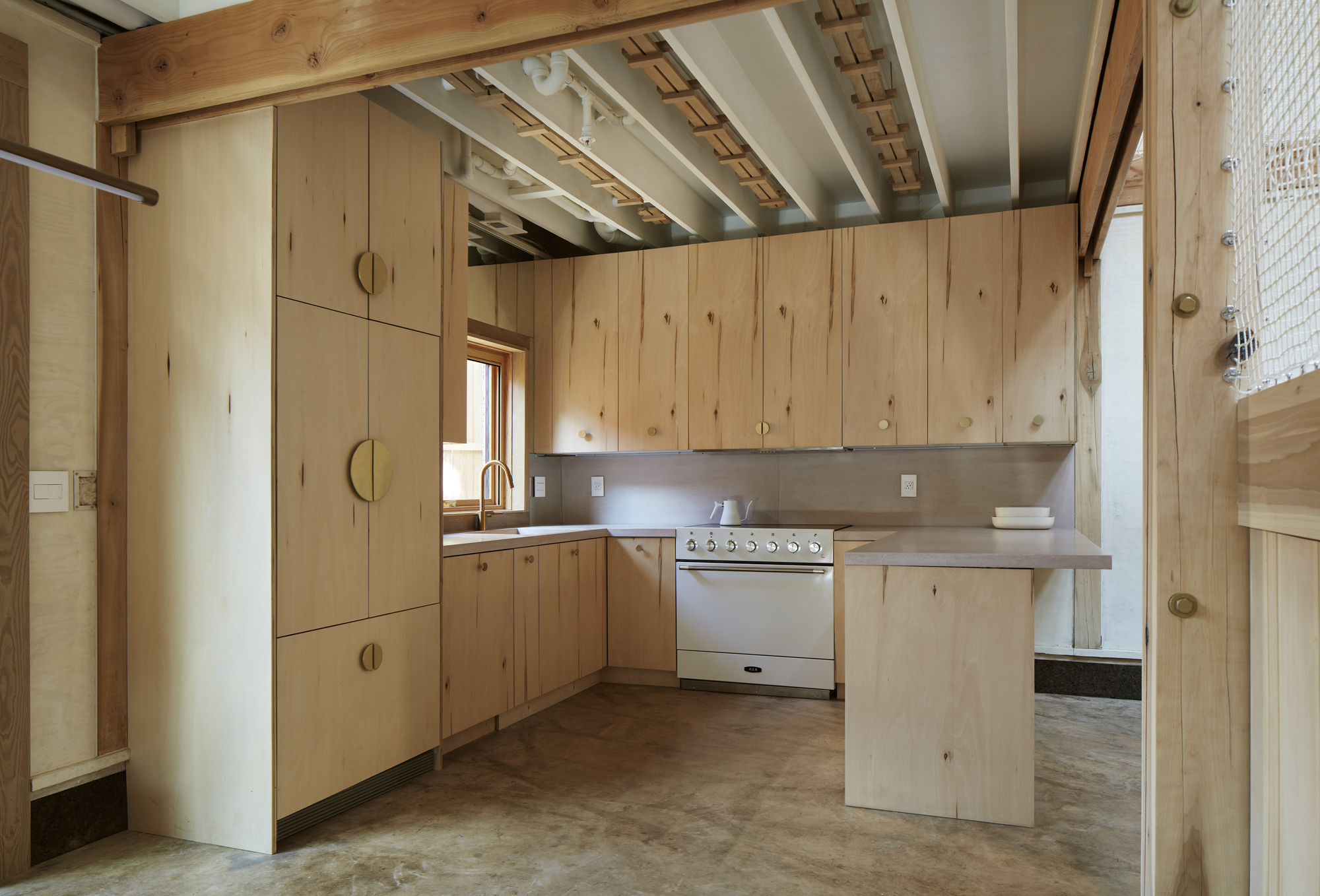 杨树丛丨美国华盛顿丨BLDUS-49