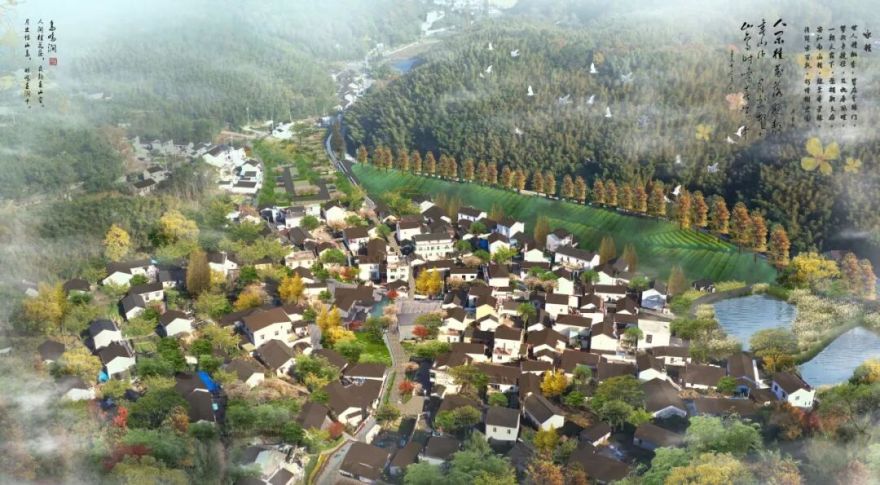 尚品|南陵县家发镇联三村和美乡村精品示范村和板石岭乡村旅游提升项目:以“桂”为核,绘就农文旅融合新图景-61