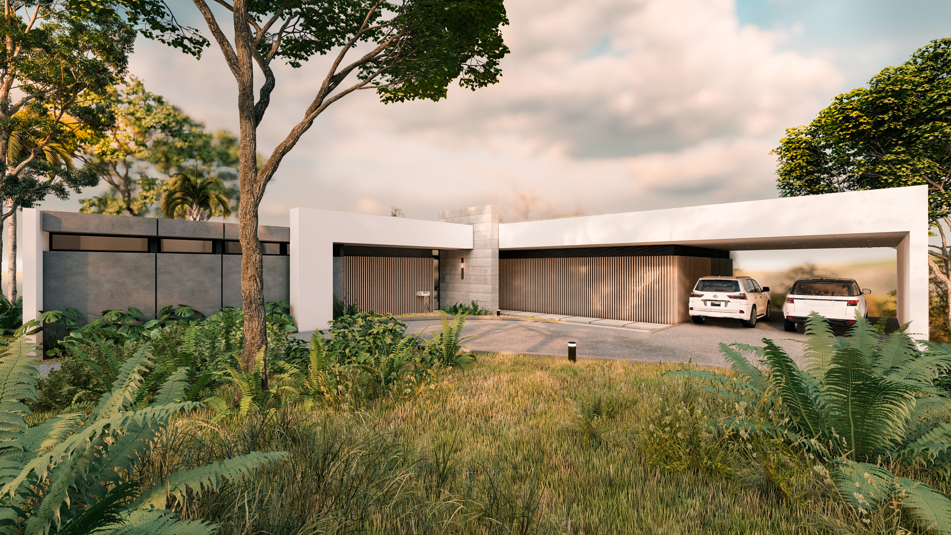 当地的本土的天然的原生的丨哥斯达黎加蓬塔雷纳斯-16