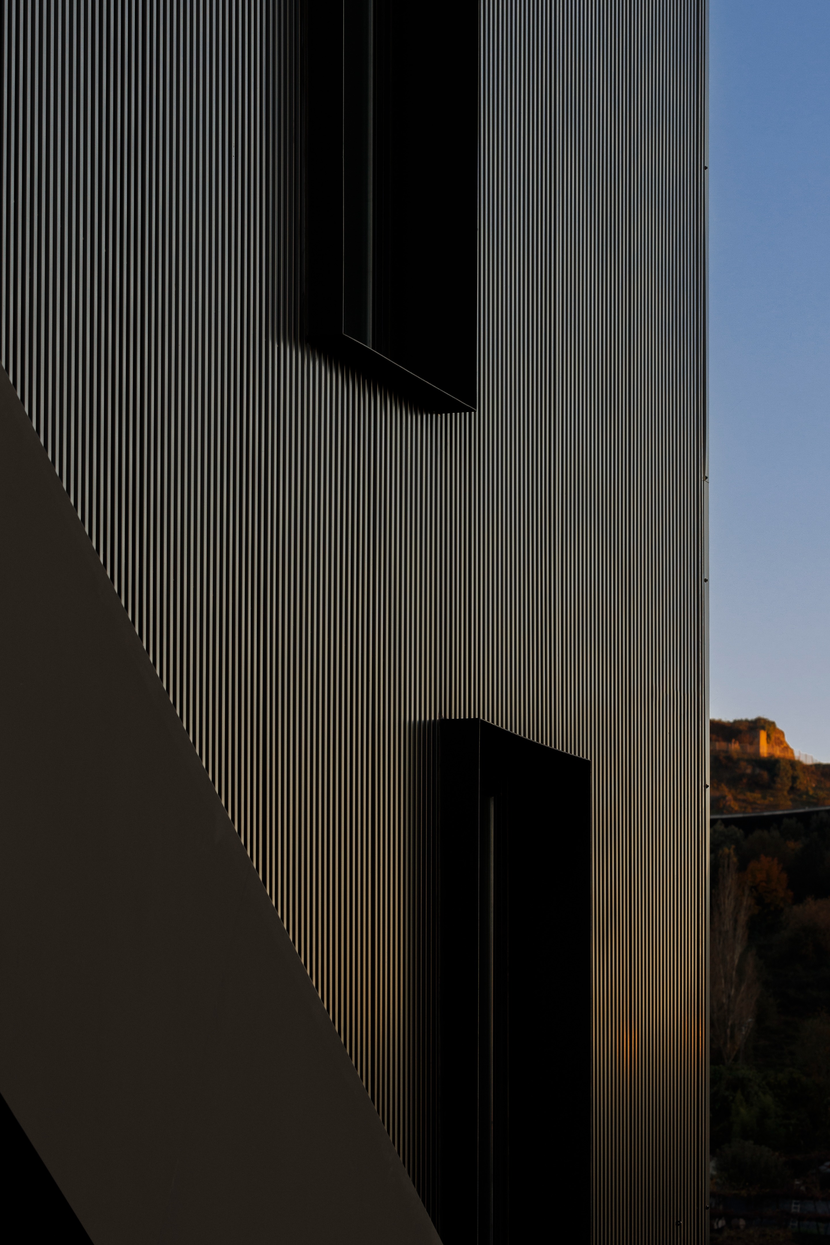 费西米尼奥物理治疗诊所丨葡萄牙丨L2C Arquitectura-49