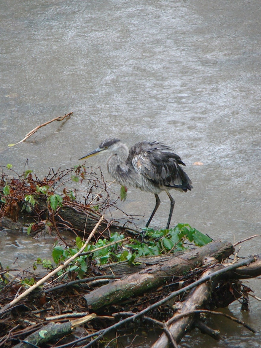 复古复兴 | 19 世纪 50 年代美国宾夕法尼亚州小威尼斯建筑群-131