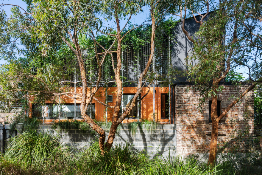 稳定的房子丨澳大利亚悉尼丨Sibling Architecture-11