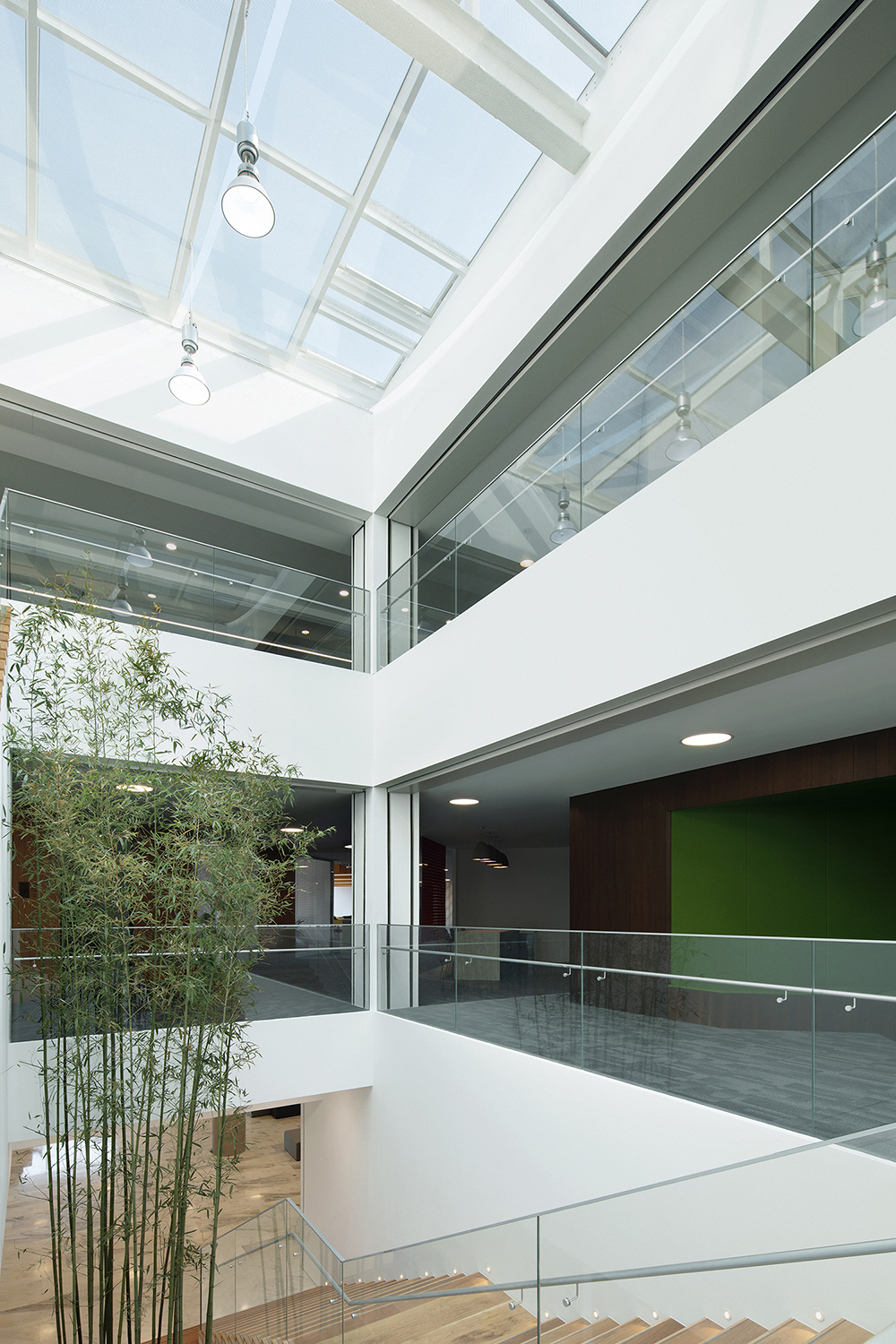 自然而然：老建筑里的办公空间再生 / CPLUS希加建筑 -5