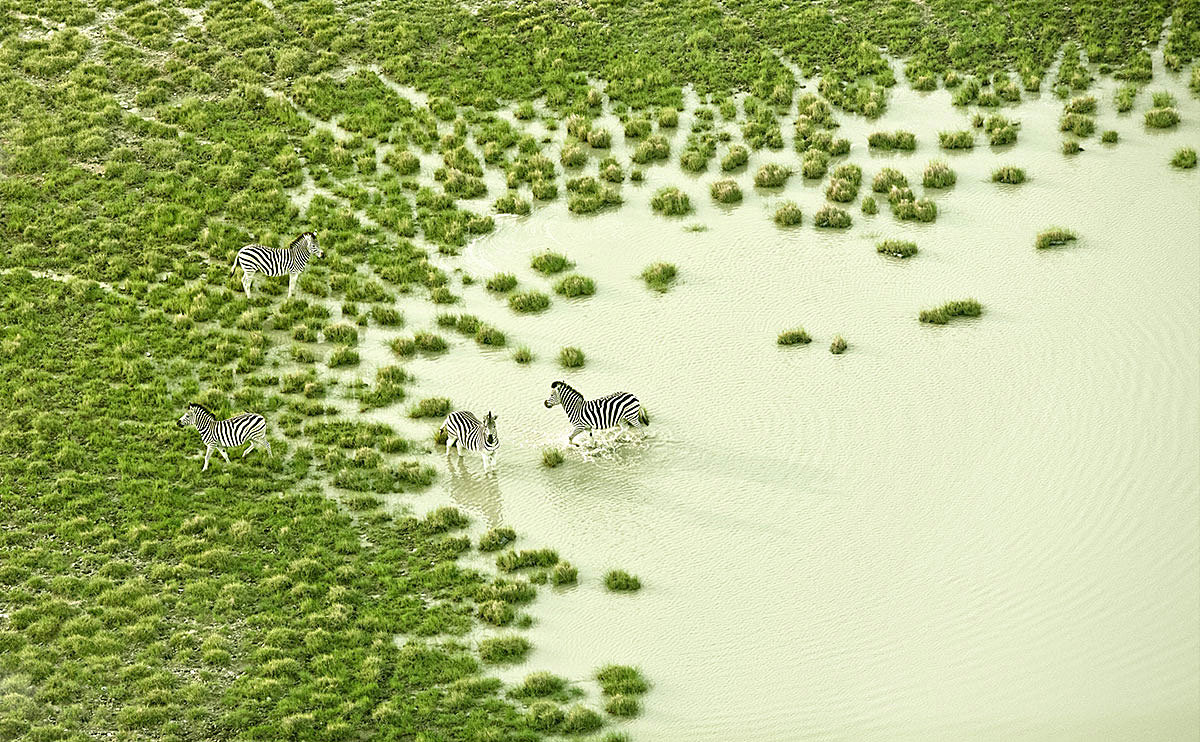 Spectacular Aerial Photography Welcomes Us to 2018-129