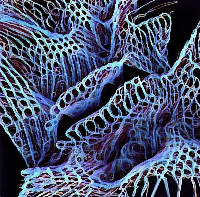 数字未来 2020 全球抗疫公益数字工作营全导师阵容揭晓!-428