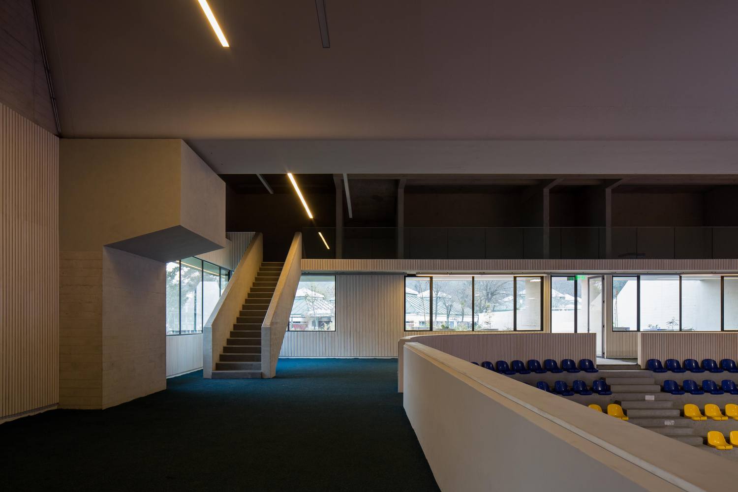 智利森林中的圣乔治学院体育馆-50