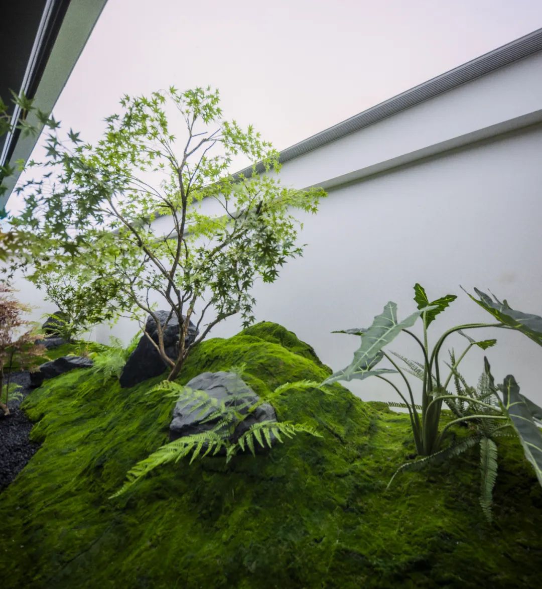 金茂·璞逸丰宜·屋顶露台植物景观·北京丨中国北京丨麦田景观-34