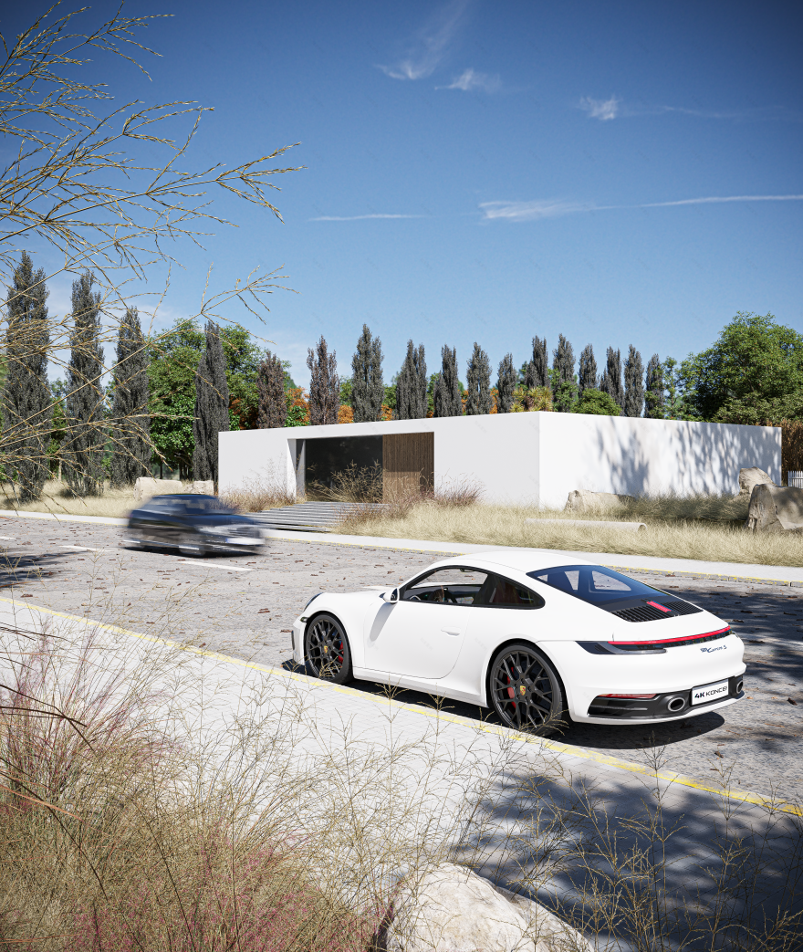 戈亚尼亚之家丨巴西-6