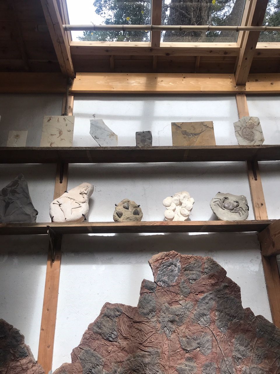 小田原文化財団 江之浦測候所丨日本神奈川丨杉本博司-22