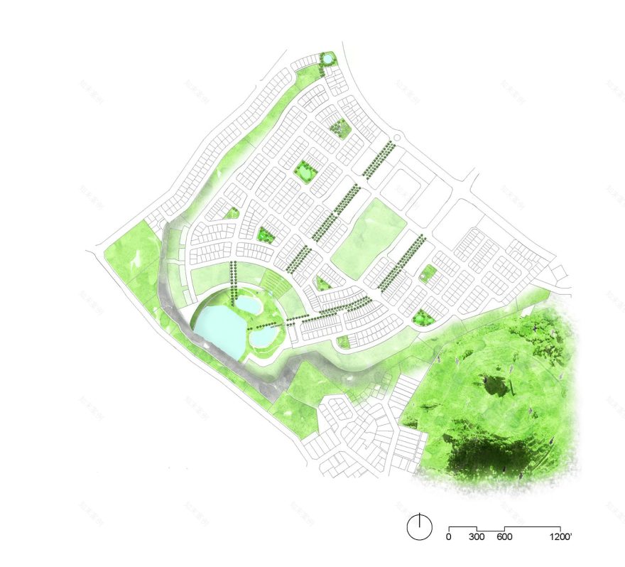 斯通菲尔德火山公园丨新西兰奥克兰-21