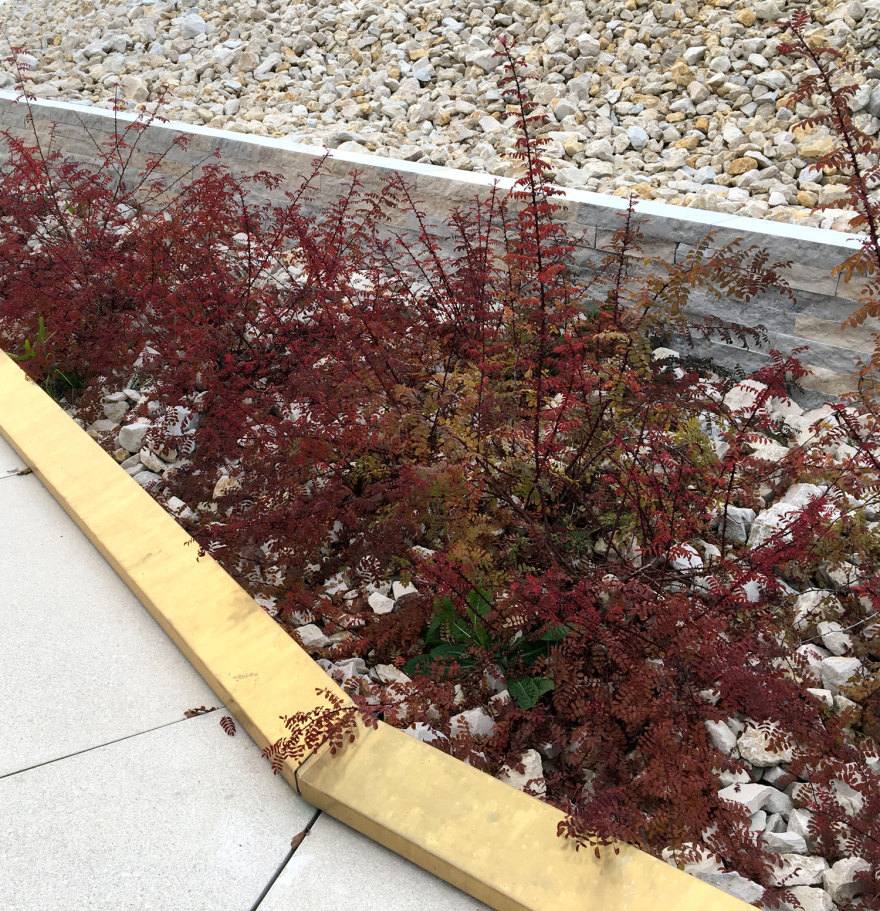 德国巴伐利亚园林展 Wassertrüdingen 案例解析-22