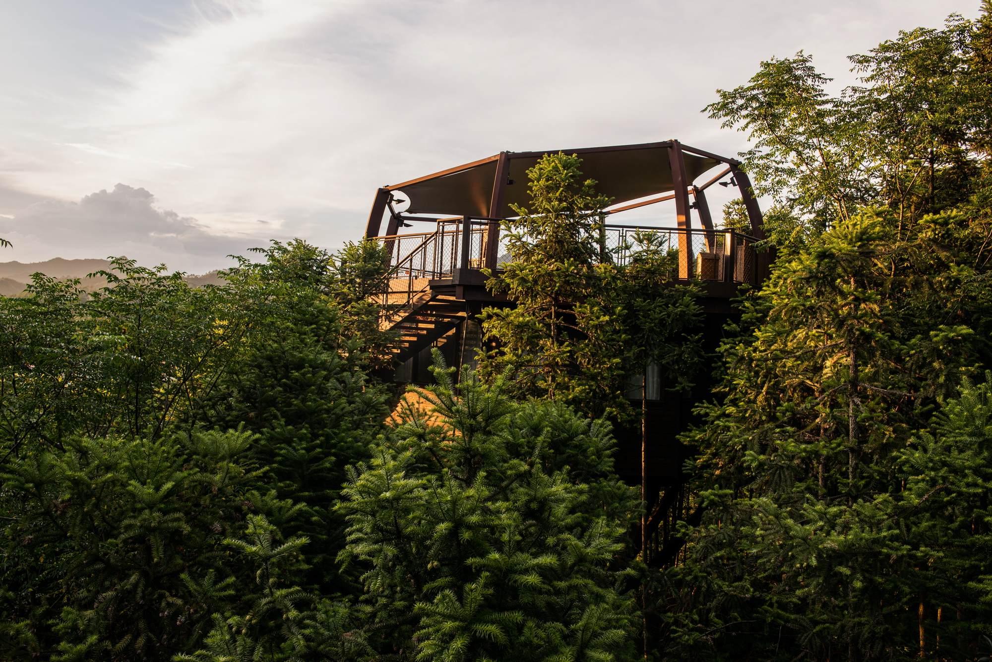 黄山树屋丨中国黄山-7