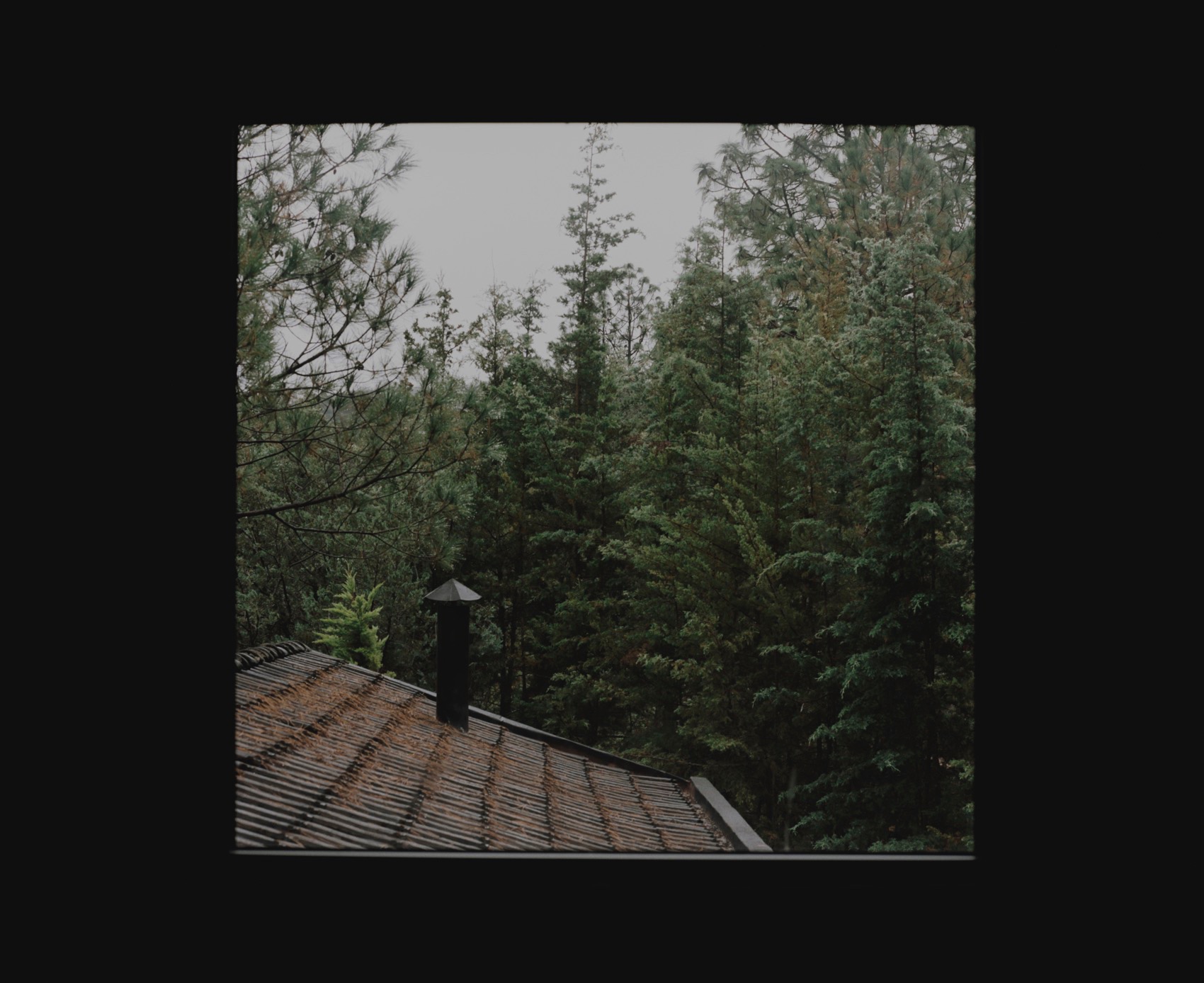 Madí 住宅丨墨西哥丨Doméstico Estudio-33