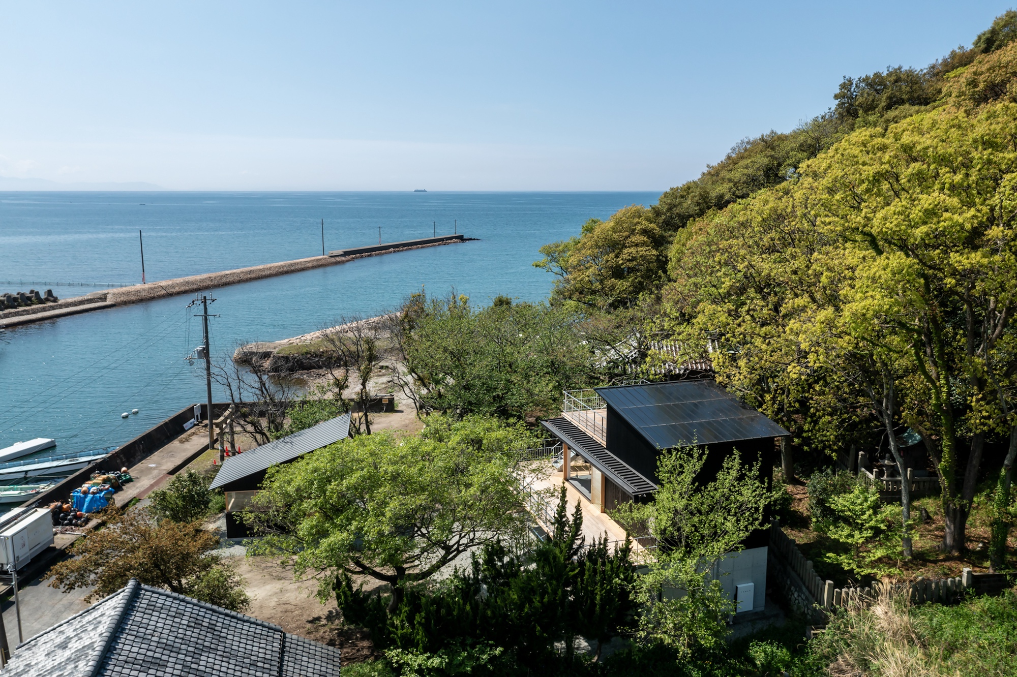 丨日本兵库丨lyhty-61