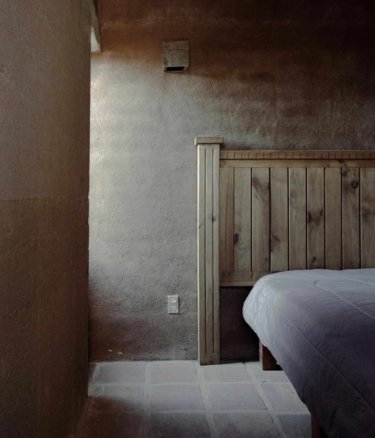 蕨类植物丨墨西哥丨Taller Hector Barroso-70