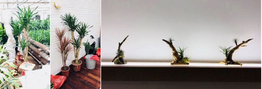 末那识丨中式酒馆下午茶设计丨中国天津-230