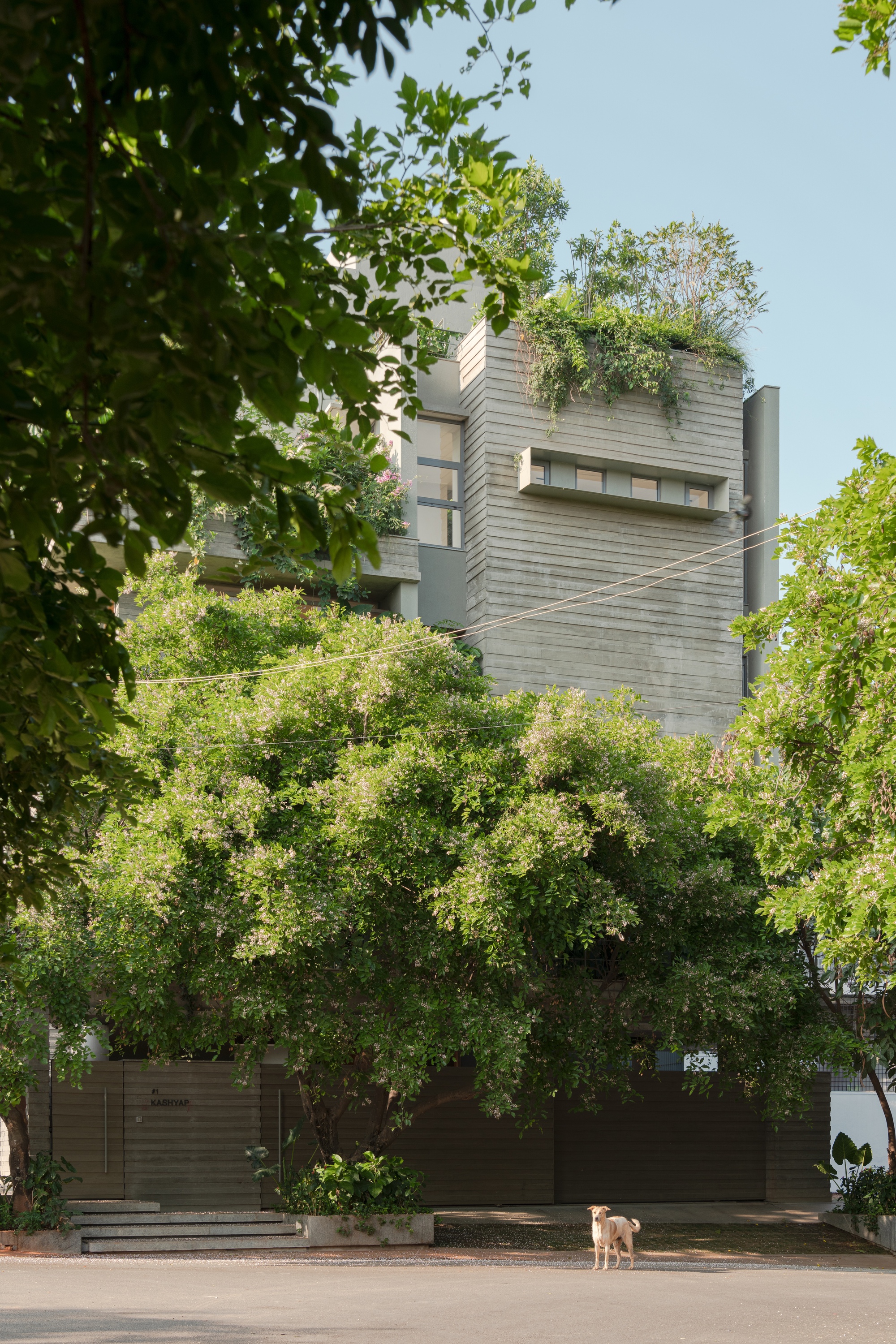 阶梯井屋丨印度班加罗尔丨A Threshold-41