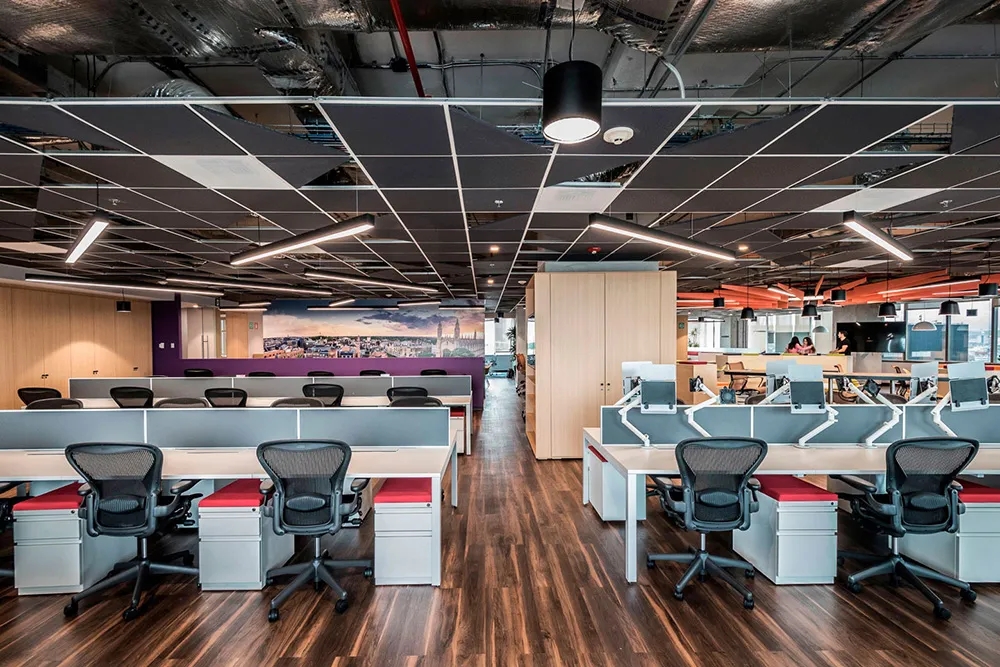 剑桥大学出版社墨西哥城办公室-11