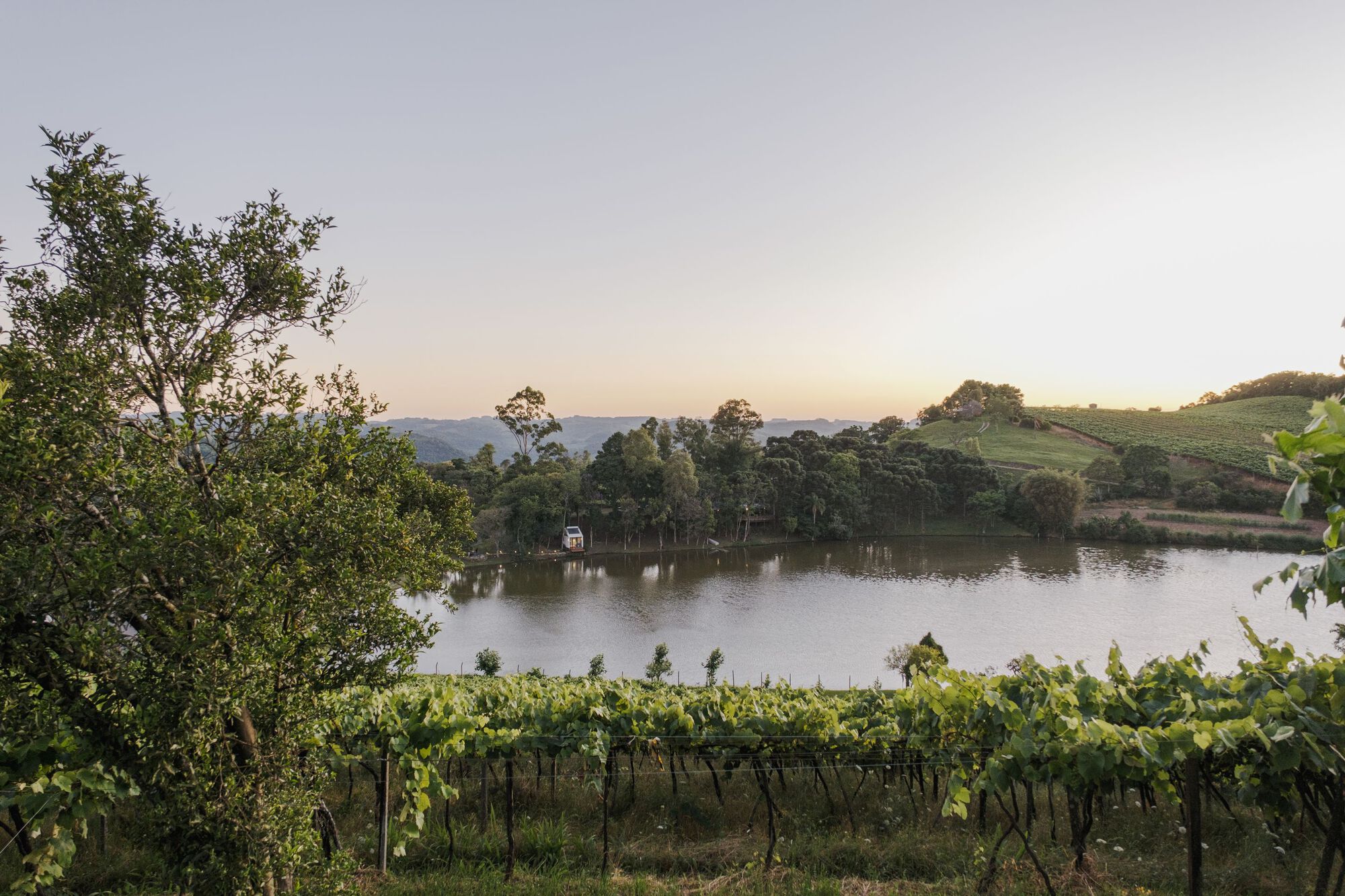 山谷中的避难所丨巴西南里奥格兰德丨Oazo + Zanesco Arquitetura-34